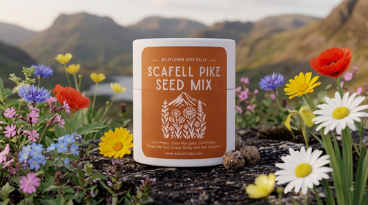 Scafell Pike Seed Mix