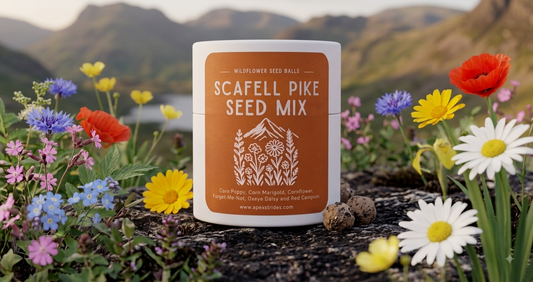 Scafell Pike Seed Mix