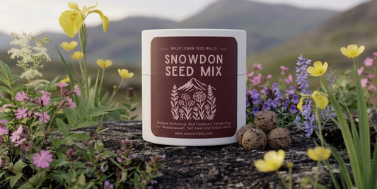 Snowdon (Yr Wyddfa) Seed Mix