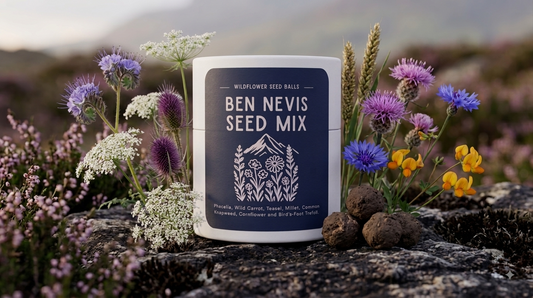 Ben Nevis Seed Mix