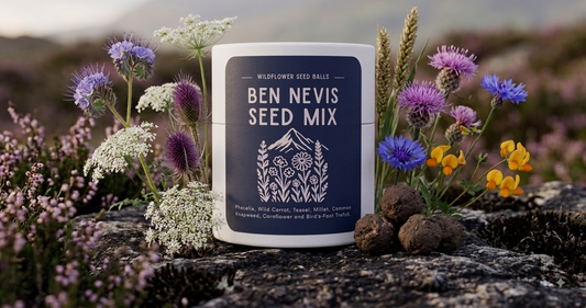 Ben Nevis Seed Mix