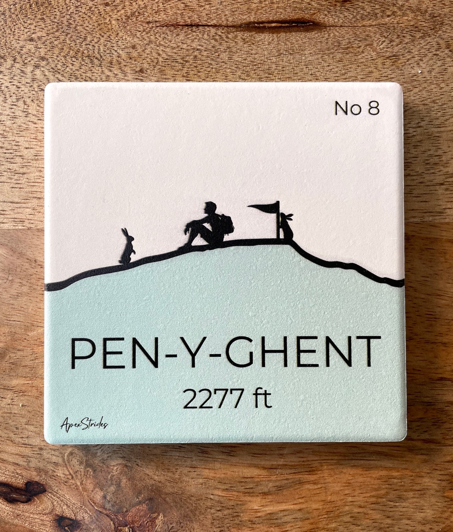 Pen-y-ghent Ceramic Coaster